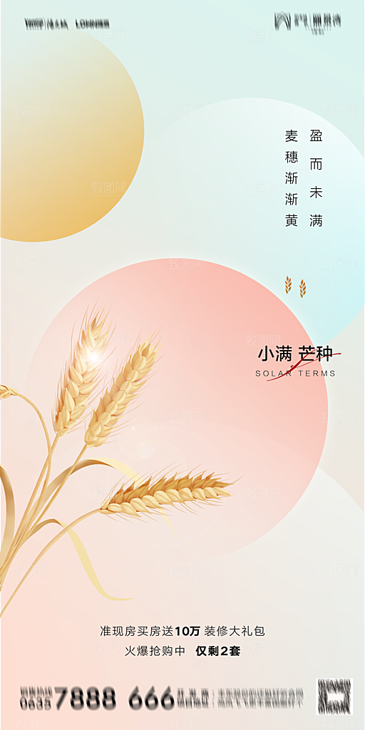 芒种节气简约大气海报