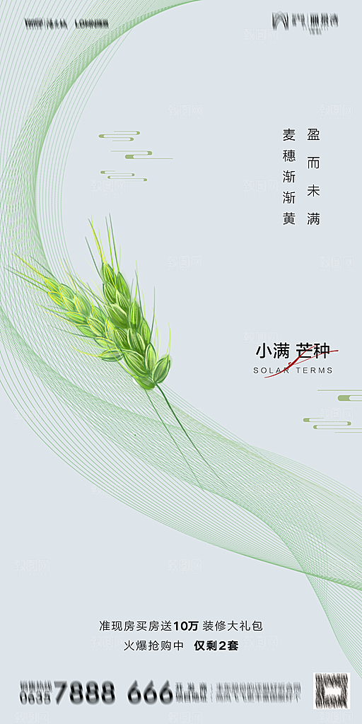 芒种节气简约大气海报
