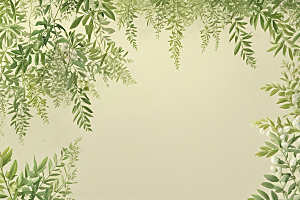 槐花植物插图图片