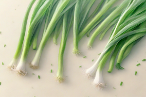 大葱植物插图图片