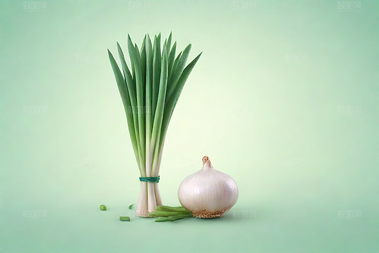 大葱植物插图图片
