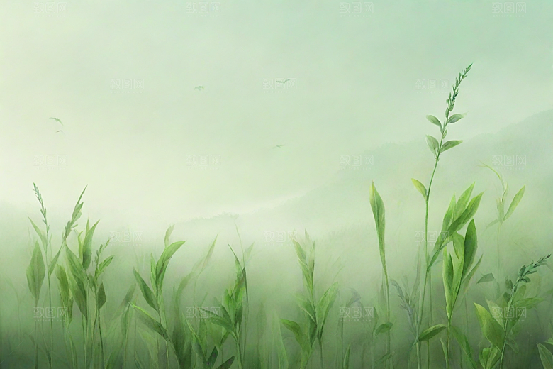 半夏植物插图图片