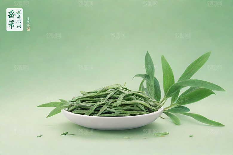 半夏植物插图图片