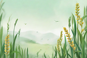 半夏植物插图图片