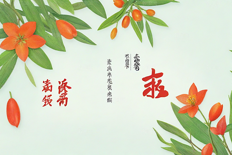 地榆植物插图图片