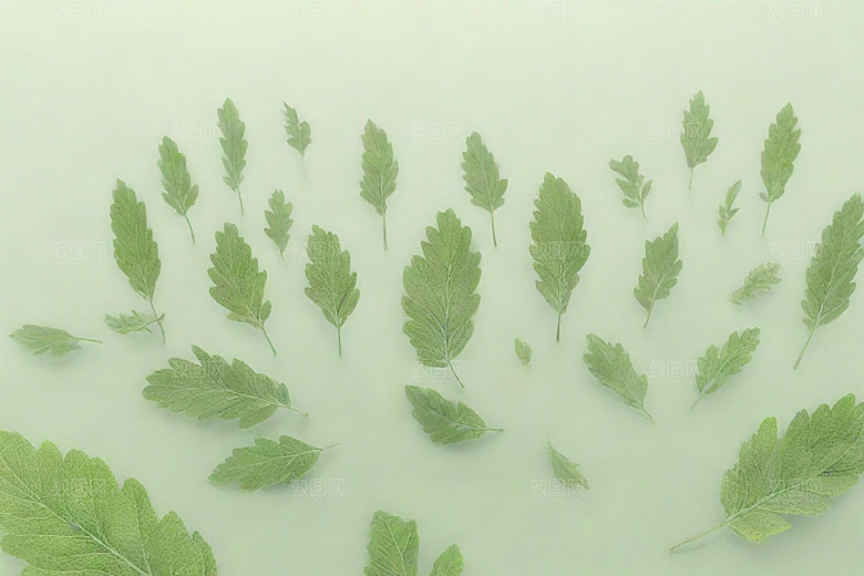 地榆植物插图图片