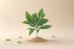 地榆植物插图图片