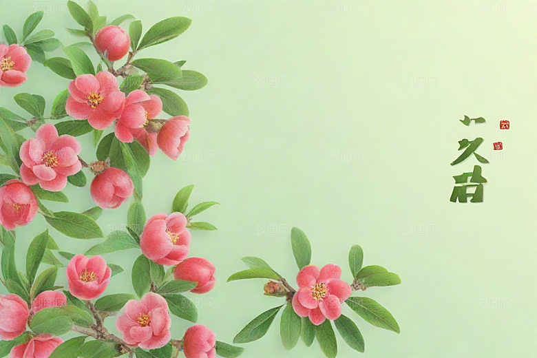 乌梅植物插图图片