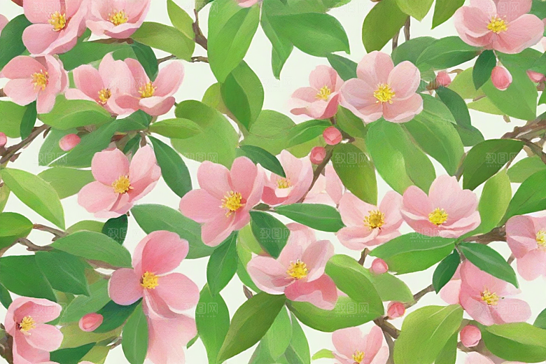乌梅植物插图图片