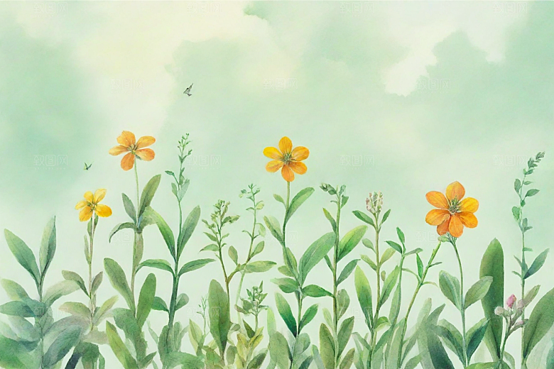 芡实植物插图图片