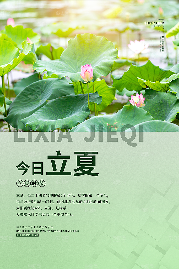 立夏节气简约大气海报