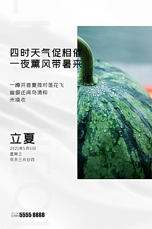 立夏节气简约大气海报