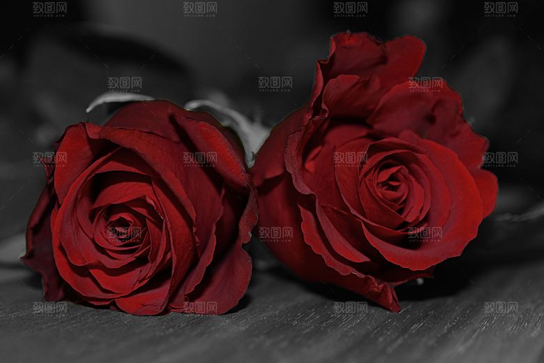 高清图库玫瑰花图片 红白粉紫玫瑰花束素材