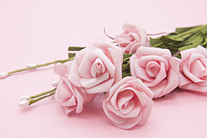 高清图库玫瑰花图片 红白粉紫玫瑰花束