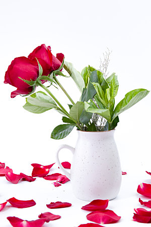 高清图库玫瑰花图片 红白粉紫玫瑰花束图片