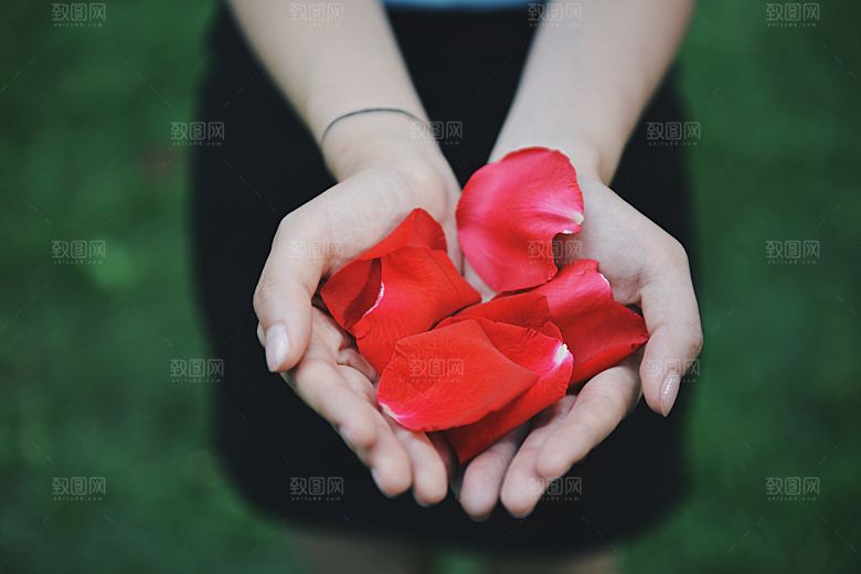 高清图库玫瑰花图片红白粉紫玫瑰花束