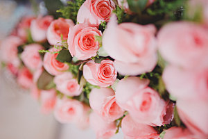 高清图库玫瑰花图片红白粉紫玫瑰花束
