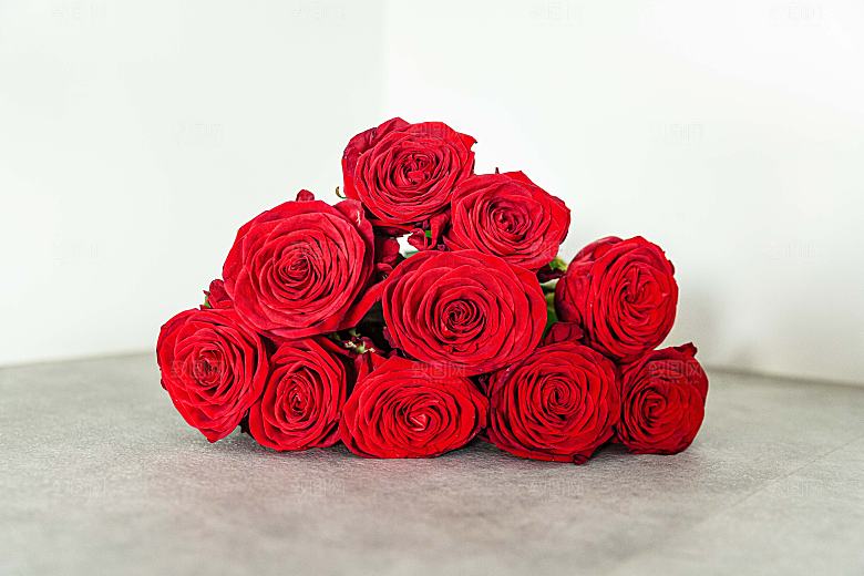 高清图库玫瑰花图片红白粉紫玫瑰花束