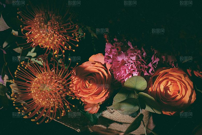 高清图库玫瑰花图片红白粉紫玫瑰花束素材