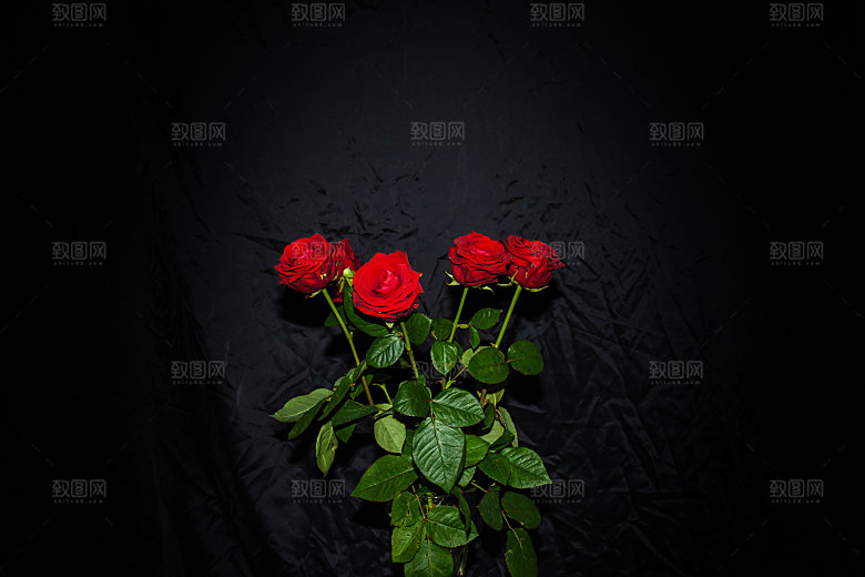 高清图库玫瑰花图片红白粉紫玫瑰花束
