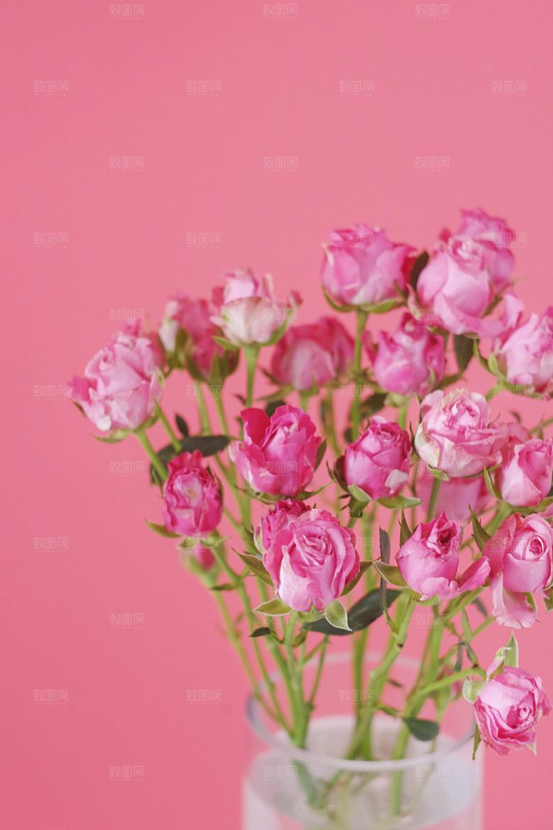 高清图库玫瑰花图片红白粉紫玫瑰花束