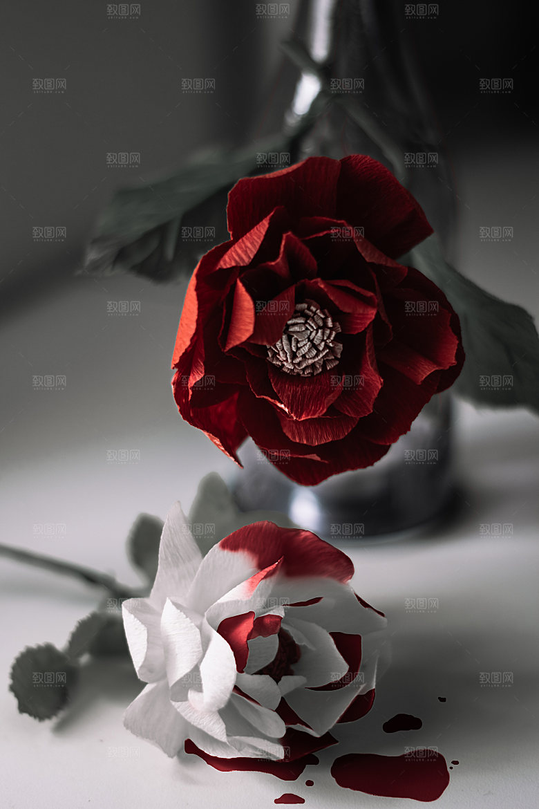 高清图库玫瑰花图片红白粉紫玫瑰花束素材