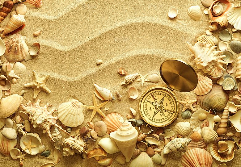 高清海景海滩沙滩海边大海蓝色海洋贝壳