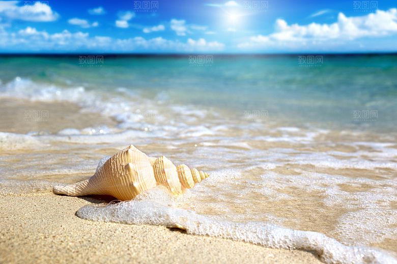 高清海景海滩沙滩海边大海蓝色海洋贝壳