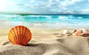 高清海景海滩沙滩海边大海蓝色海洋贝壳