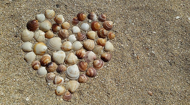 高清海景海滩沙滩海边大海蓝色海洋贝壳