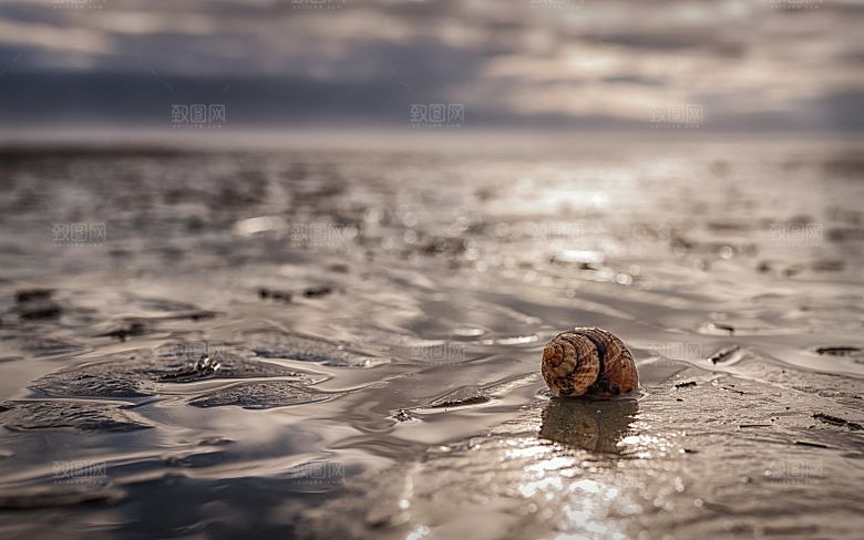 高清海景海滩沙滩海边大海蓝色海洋贝壳