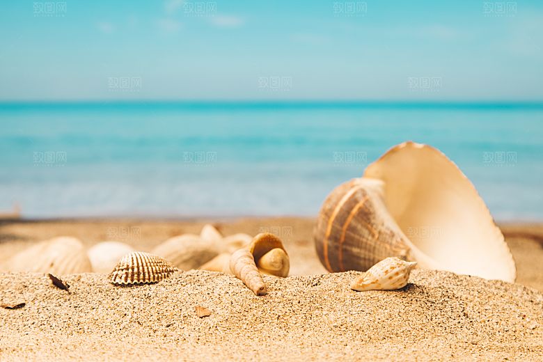 高清海景海滩沙滩海边大海蓝色海洋贝壳