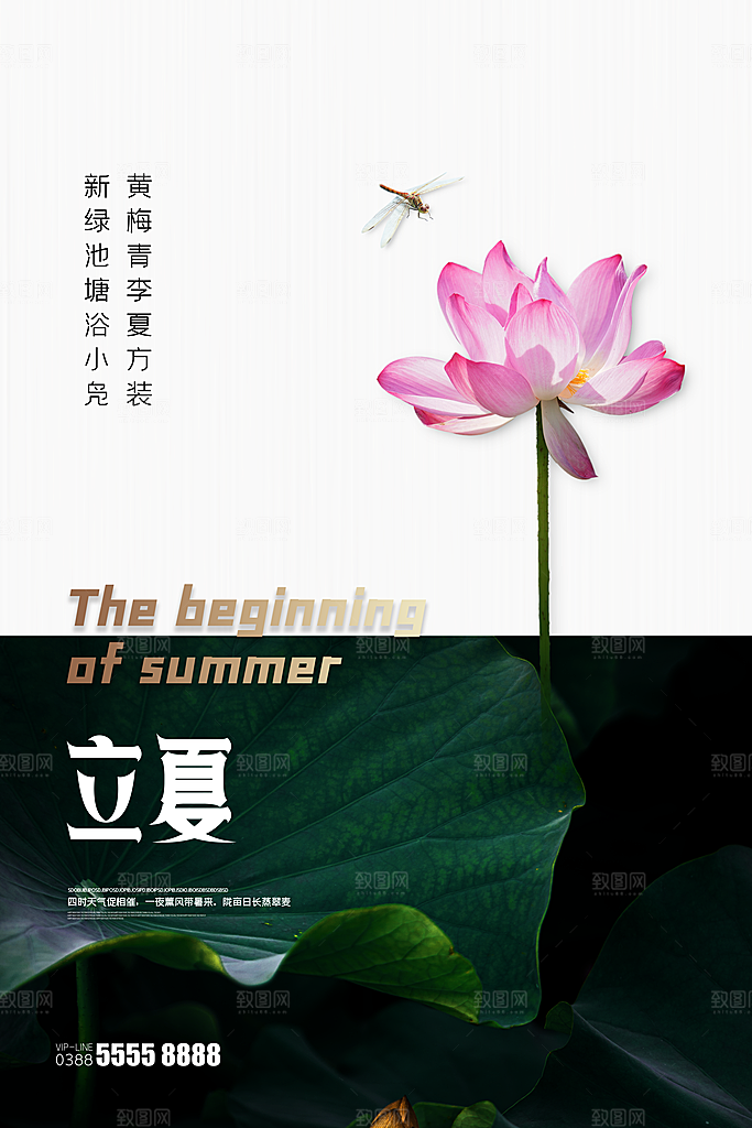立夏节气简约大气海报