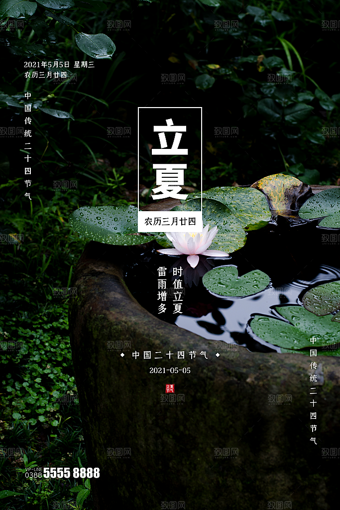 立夏节气简约大气海报