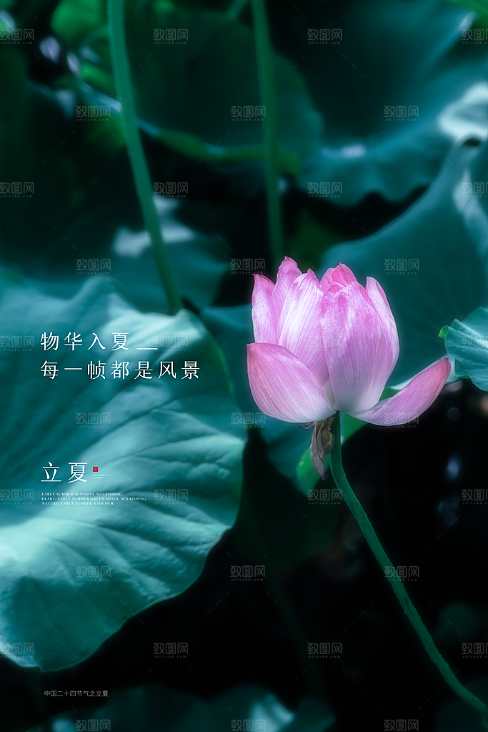 立夏节气简约大气海报