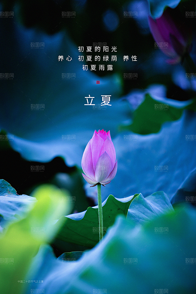 立夏节气简约大气海报