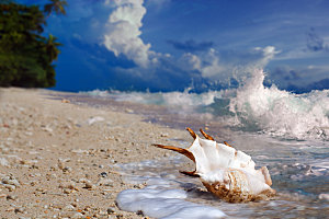 高清海景海滩沙滩海边大海蓝色海洋壁纸素材