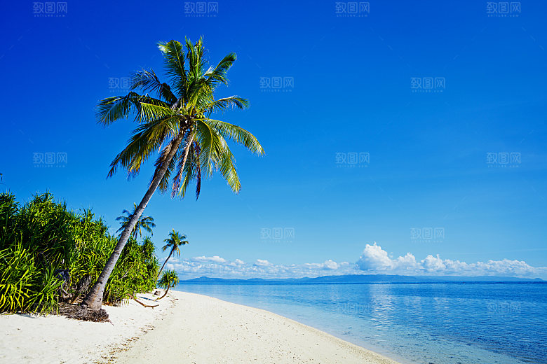 高清海景海滩沙滩海边大海蓝色海洋壁纸