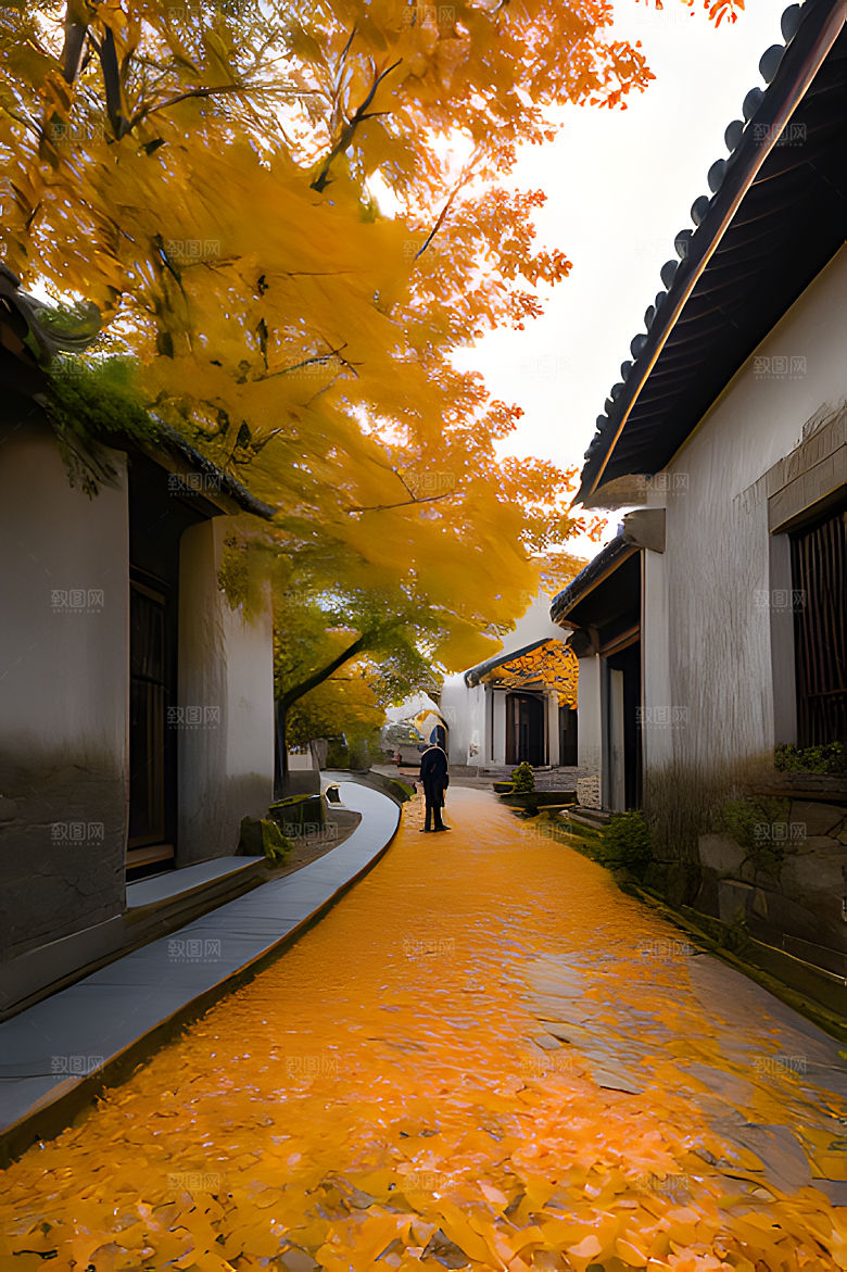 秋天街道图片素材