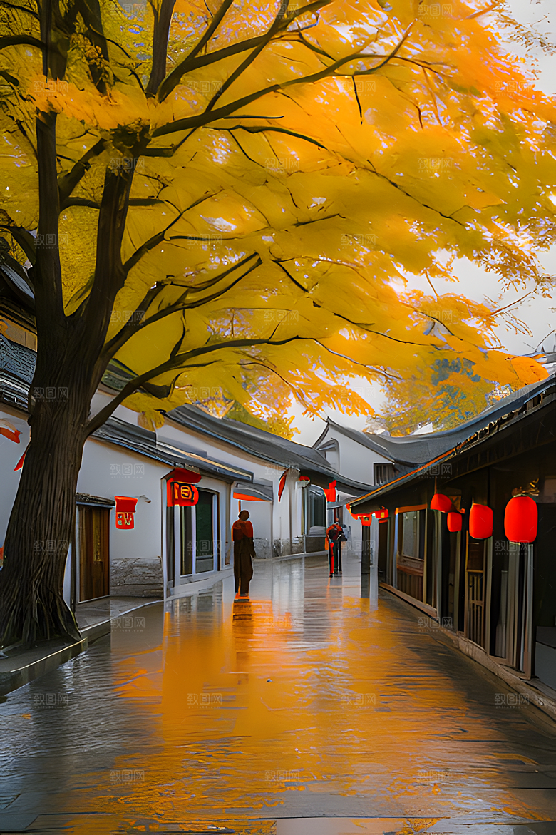 秋天街道图片素材