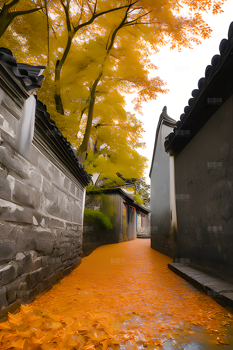 秋天街道图片素材