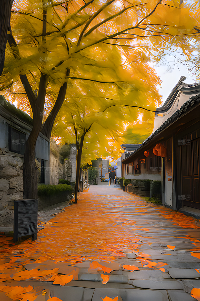 秋天街道图片素材