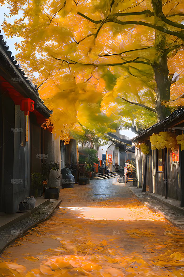 秋天街道图片素材