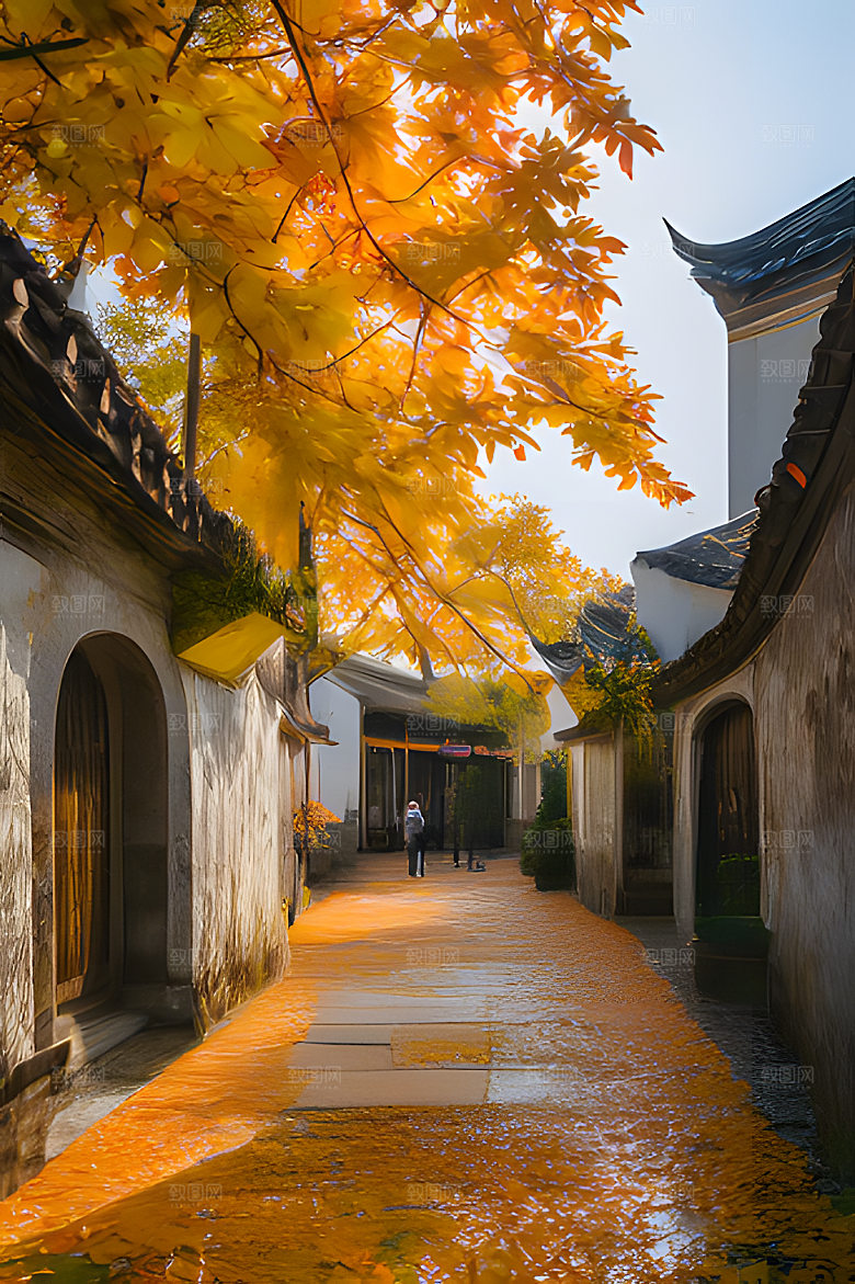 秋天街道图片素材