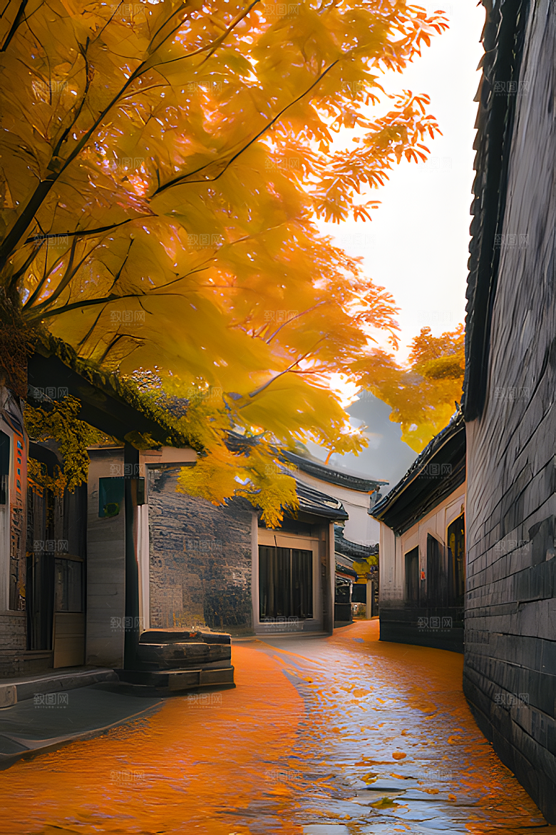 秋天街道图片素材