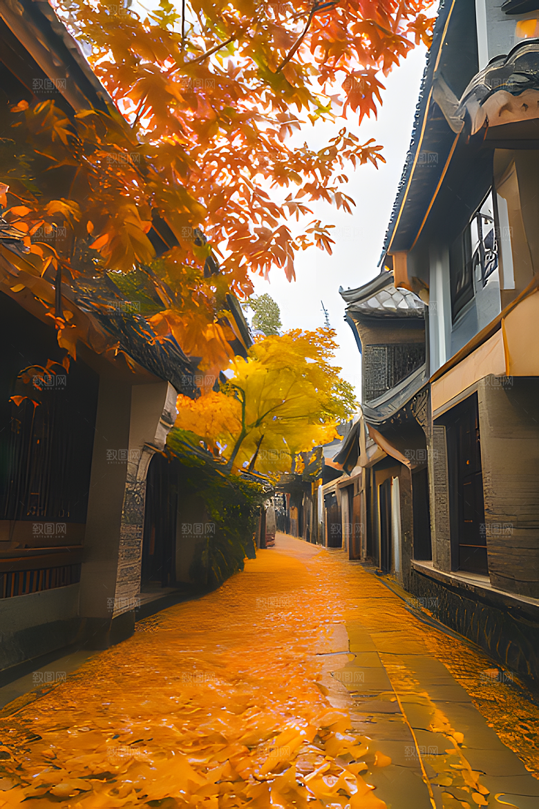 秋天街道图片素材