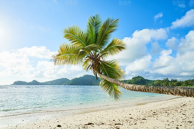 高清海景海滩沙滩海边大海蓝色海洋壁纸