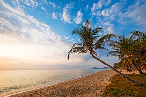 高清海景海滩沙滩海边大海蓝色海洋壁纸