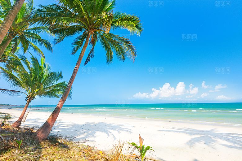 高清海景海滩沙滩海边大海蓝色海洋壁纸素材