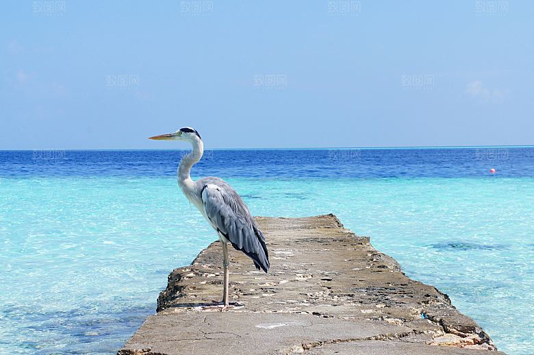 4K高清海景海滩沙滩海边大海蓝色海洋壁纸